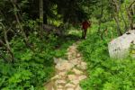 2014-07-05_Laengental-N-Hochweg (552). JPG